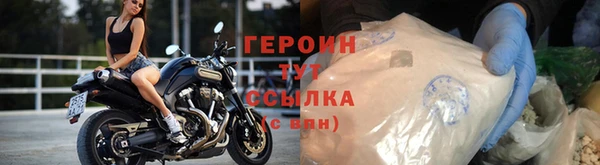 прущие грибы Абинск