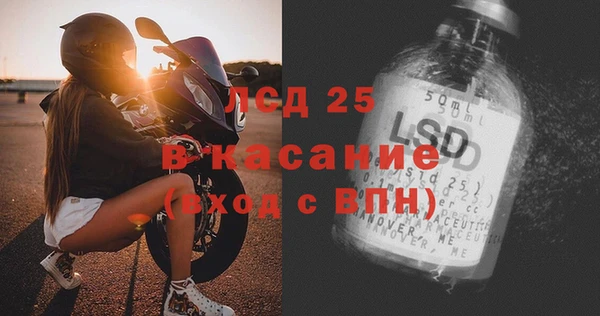 прущие грибы Абинск