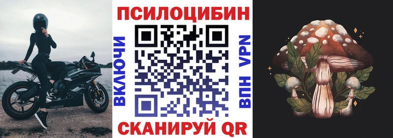 Галлюциногенные грибы Psilocybe  Норильск 