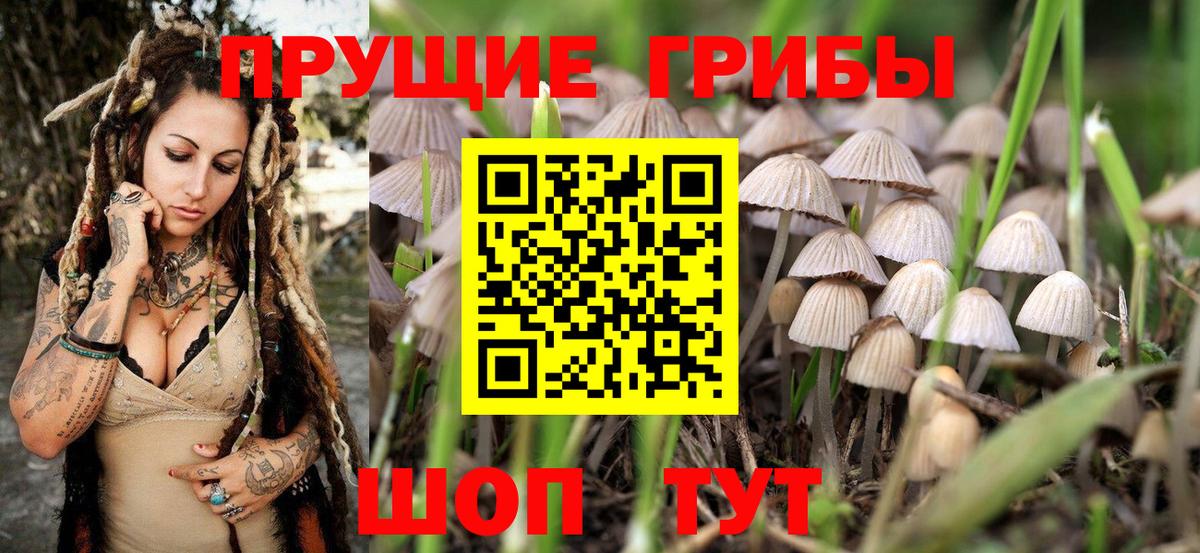 Псилоцибиновые грибы GOLDEN TEACHER  Галлюциногенные грибы Magic Shrooms  Вход с VPN  Норильск 